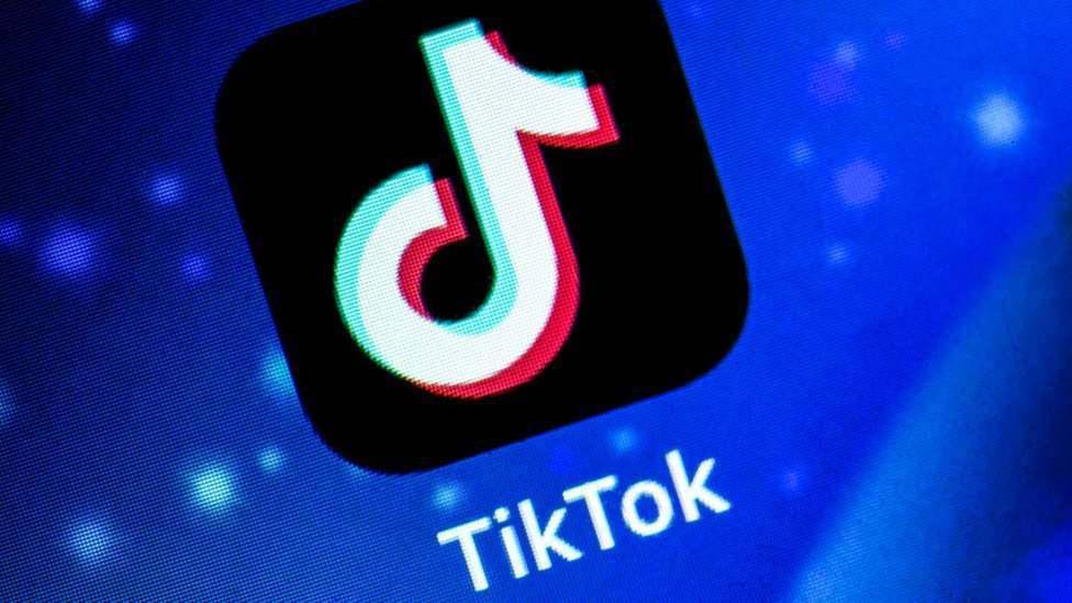 TikTok寻求临时禁制令背后的深层影响与意义探究