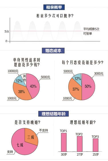 官方回应单身男女信息库背后的真相与影响探究