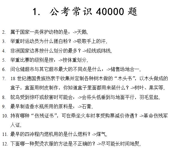 2024年12月13日 第40页