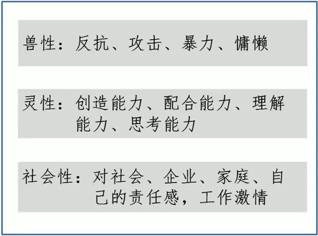 三期内必出特一肖100%三期内必出一肖,涵盖了广泛的解释落实方法_Mixed79.268