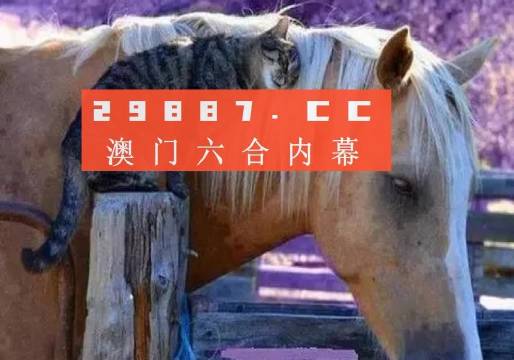 澳门一肖一码一一中一特,重要性解释定义方法_顶级款49.714