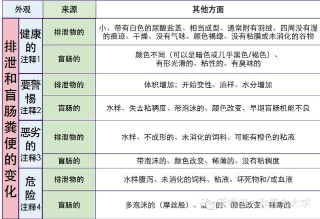 2024香港历史开奖记录,权威分析说明_5DM34.923