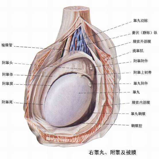 工业仿真 第98页