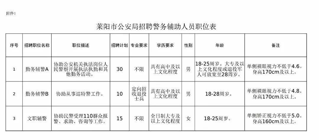 2024年12月16日 第11页