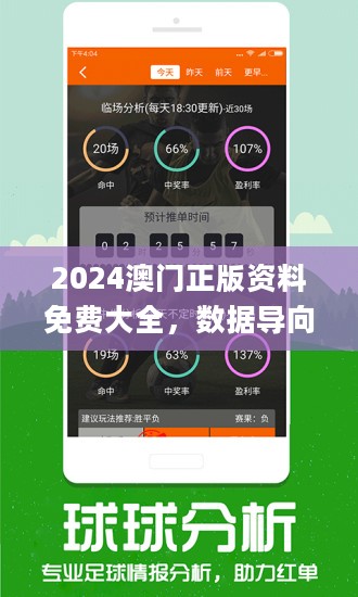 2024新澳正版资料最新更新,数据分析驱动执行_开发版32.156