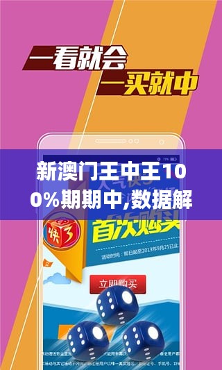 新澳门王中王100%期期中,数据导向策略实施_纪念版73.833