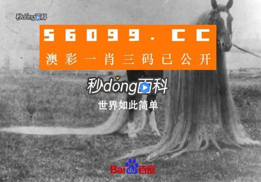 澳门必中一一肖一码服务内容,全面执行数据方案_Pixel84.105