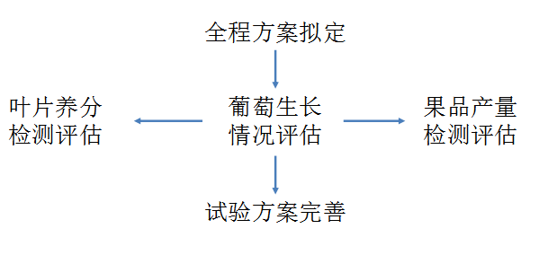 2024香港资料大全免费,可行性方案评估_精英版24.394