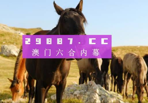 澳门管家婆一肖一码一中一开,专业解答实行问题_C版20.769