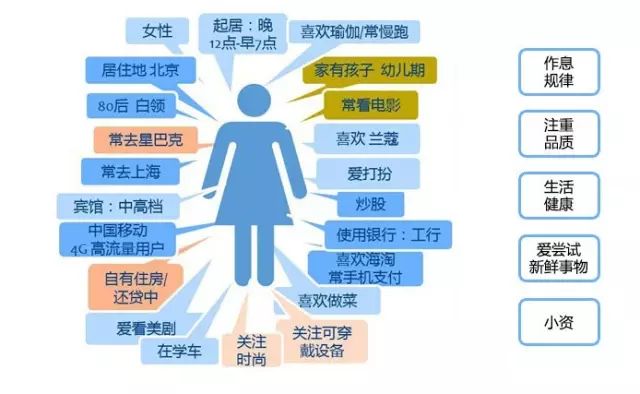 新澳门免费资料大全精准,全面数据解释定义_tool55.647