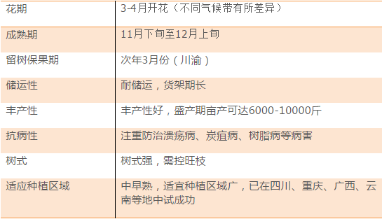 新澳天天开奖资料,诠释说明解析_36091.103