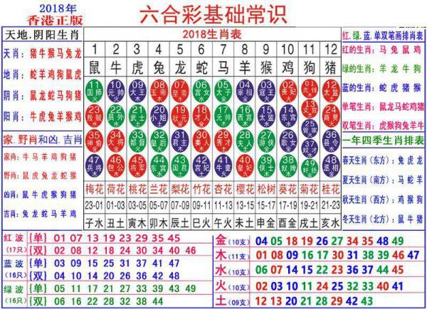 澳门正版资料大全资料生肖卡,快速设计解答计划_开发版20.677