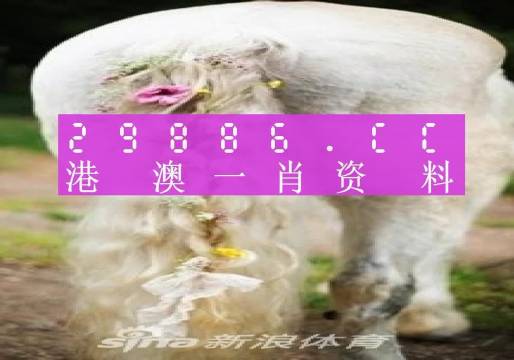 2024一肖一码100精准大，63期的四不像图,实时资料精准推荐_X21.882