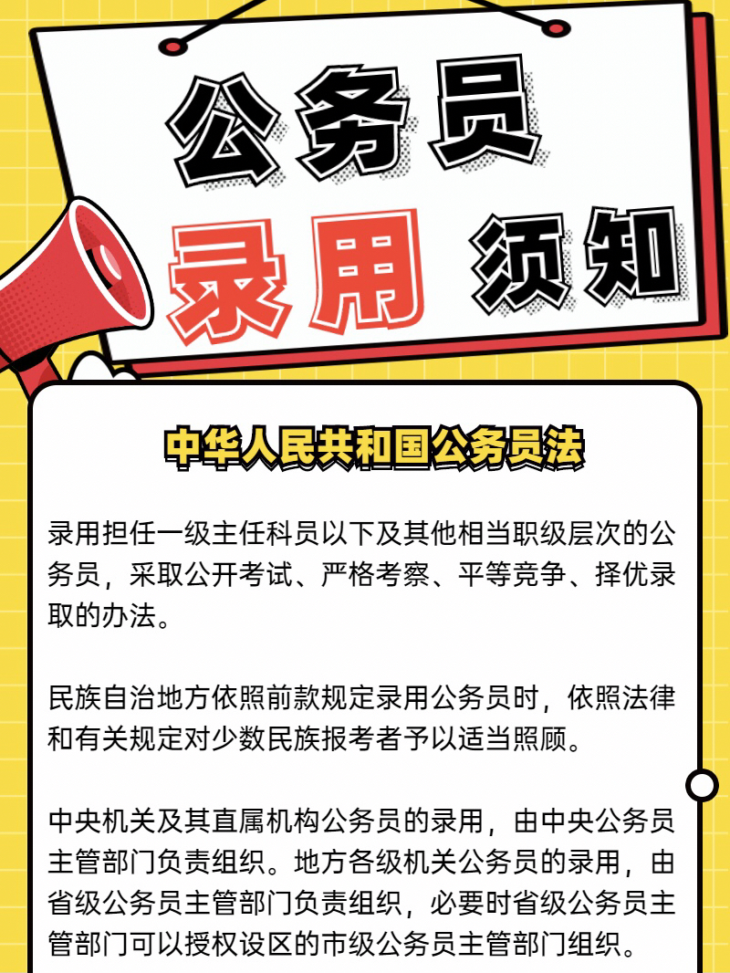 公务员录用选拔过程详解，选拔机制与解释指南