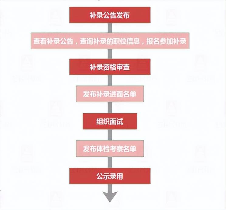 公务员录取流程的全程解析