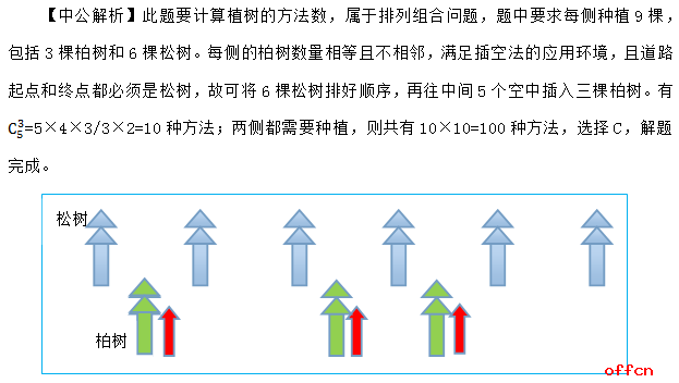 类型及数目深度剖析