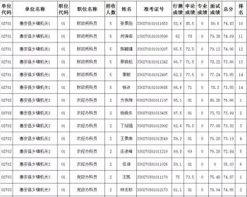 公务员考试成绩排名背后的努力与策略探究