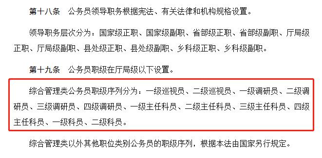 公务员职务级别概览与巡视员角色深度解析