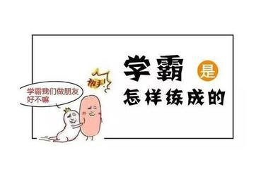 全面有效的公务员考试备考策略与复习指南