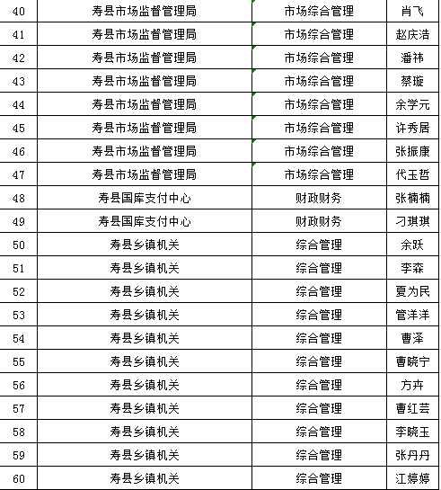 大连公务员录取公示名单公布，透明公开选拔之旅