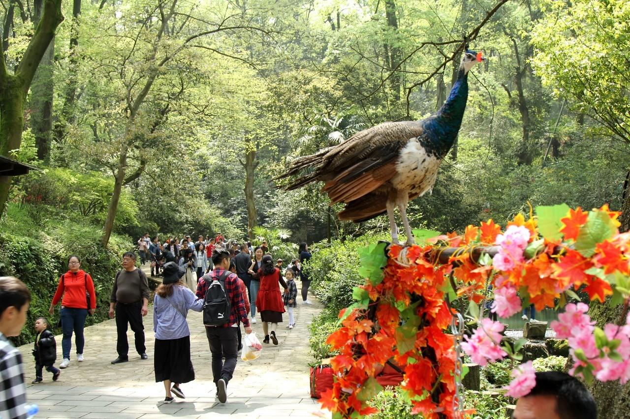 历史文化景区的现代互动体验模式探索