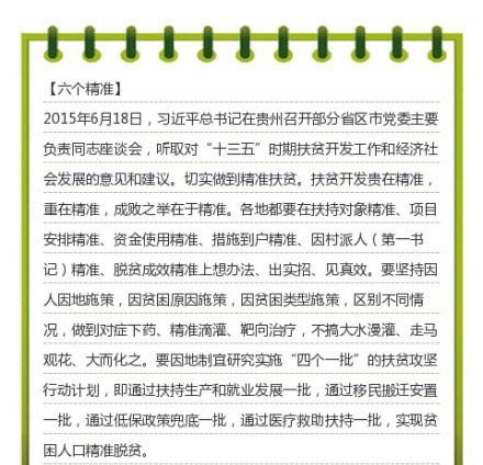 公务员工作中常用专业词语解析指南