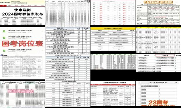 国家公务员考试岗位表PDF深度解读与探讨