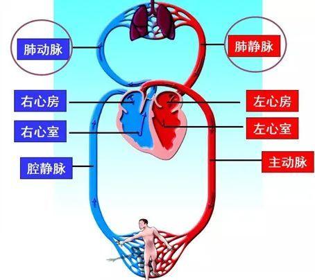 国家公务员考试网，迈向公职之路的坚实桥梁