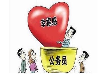 省公务员考试深度解析与备考策略指南