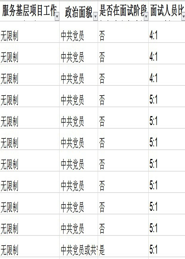 公务员调剂职位选择攻略，策略与技巧解析